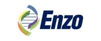 enzo